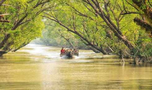 sundarban tour packages